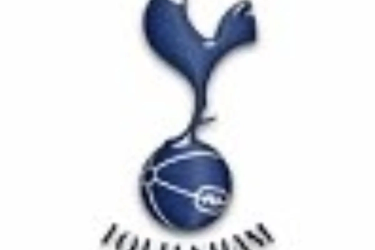 Vertonghen et Lukaku se quittent dos à dos