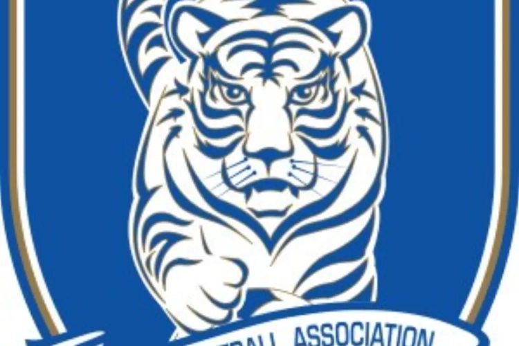 Le but de James Rodriguez en version coréenne