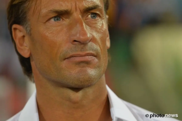 Un Renard chez les Dogues