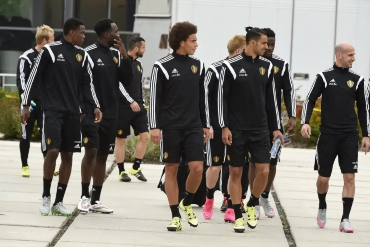 Benteke, Dembélé et Janujaz : les dernières nouvelles médicales des Diables Rouges