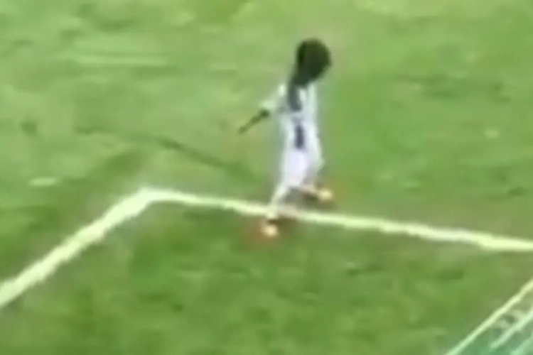 Un peu de légèreté dans cette journée