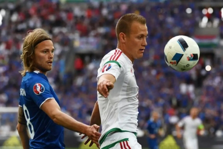 La Hongrie arrache un match nul inespéré 