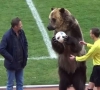 ? C'est un ours qui apporte le ballon du match