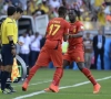 Wilmots sur Lukaku et Origi: "J'ai deux n°9"