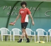 Petite alerte pour Fellaini