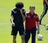 Officiel : Fellaini forfait contre le Pays de Galles !