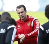 Wilmots ne se cache pas: "La route vers l'Euro est ouverte"