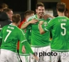 Euro 2016, groupe F: l'Irlande du Nord mène la danse