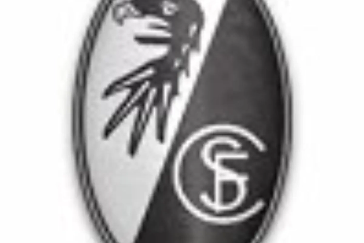 Gelson Fernandes à Fribourg